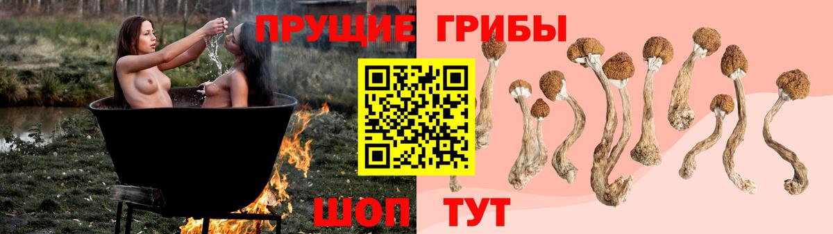 Галлюциногенные грибы мицелий Бузулук